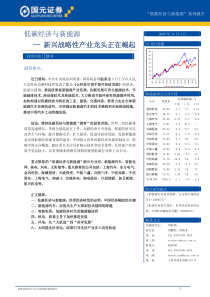 低碳经济与新能源系列报告