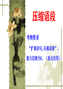 压缩语段(上课用).