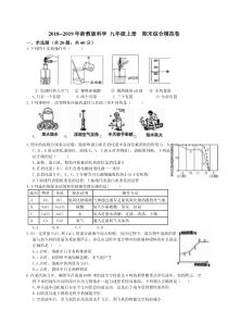 2018--2019年浙教版科学九年级上册-期末综合模拟卷