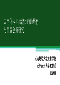 云南休闲型旅游目的地培育与品牌创新研究项目报告