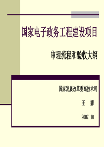 国家电子政务工程建设项目验收大纲