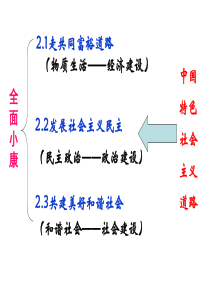 初2015级《22发展社会主义民主》