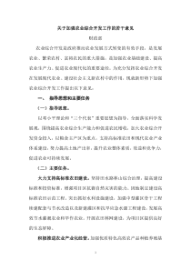 关于加强农业综合开发工作的若干意见