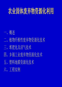 典型固体废物的处理与利用-农业固体废弃物资源化利用