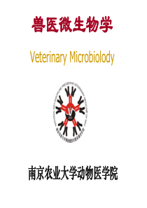 兽医微生物学-南京农业大学教学精品课程建设工作