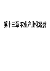 农业产业化经营（PPT45页)