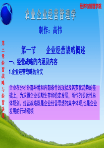 农业企业经营管理精品高伟（PPT49页)