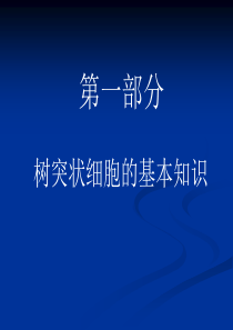 树突状细胞及其前体细胞分选