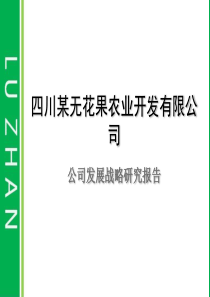 农业开发企业战略规划