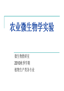 农业微生物配套实验---实验一 细菌革兰氏染色法