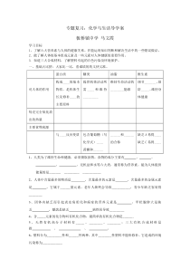 化学与生活专题复习导学案