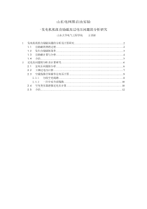 发电机机组自励磁问题及过电压问题的分析及计算研究