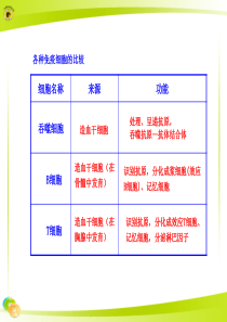 各种免疫细胞的比较