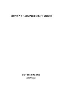 合肥市老年人口和老龄事业统计调查方案