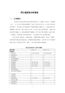 同仁堂财务分析报告