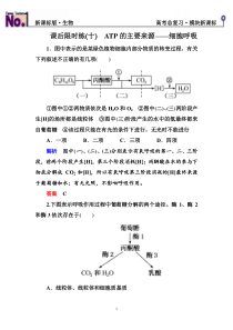 名师一号高考总复习新课标生物1-3-10