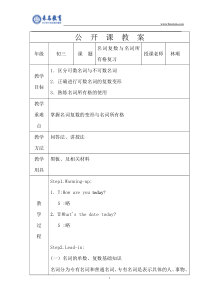 名词复数与所有格公开课教案1