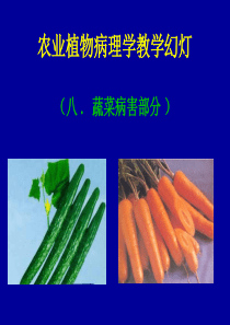 农业植物病理学蔬菜病害