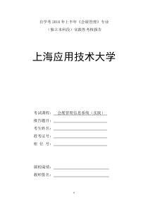 关系信息系统报告(实践考试样本)