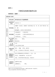 关键信息基础设施登记表