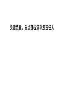 关键装置重点部位清单及责任人(上传)