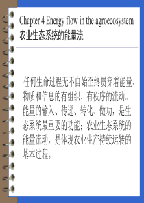 农业生态系统的能量流(1)