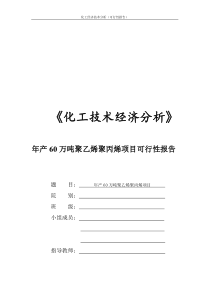 化工技术经济分析年产60万吨聚乙烯聚丙烯项目可行性报告