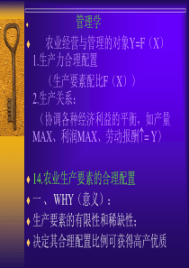 农业经营与管理的对象YFX