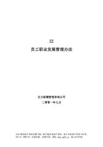 北大纵横-房地产企业咨询全案-员工职业发展管理办法