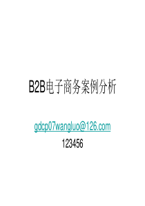 B2B电子商务案例分析