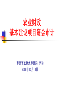 农业财政基本建设项目审计