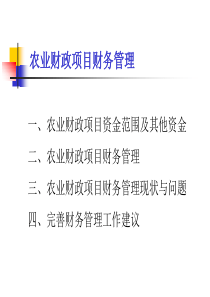 农业财政项目财务管理讲义