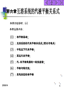 化工热力学_06互溶系统的汽液平衡关系式