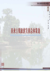 大地风景-成都西来古镇旅游发展总体策划