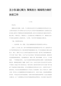 凝心聚力聚焦发力精准用力做好扶贫工作