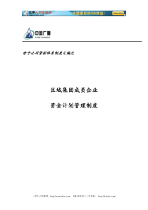 区域集团成员企业资金计划管理制度