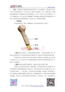 医学基础知识_人体解剖学运动系统骨的构造知识巩固