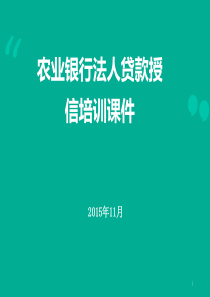 农业银行法人贷款授信培训课件