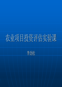 农业项目投资评估实验课PPT