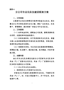 分公司专业化队伍建设框架方案