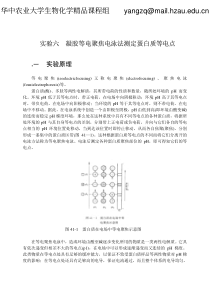 凝胶等电聚焦电泳法测定蛋白质等电点-华中农业大学生物化学