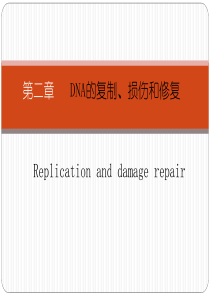 分子生物学DNA的复制损伤与修复