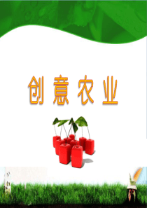 创意农业