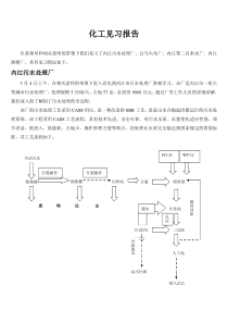 化工见习报告