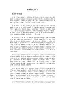 统计局实习报告