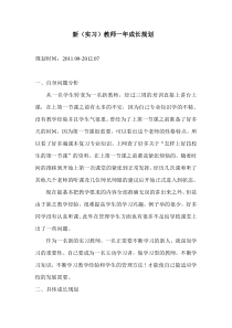 新教师成长计划