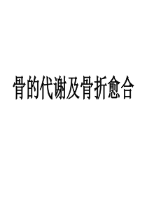 骨的代谢及骨折愈合