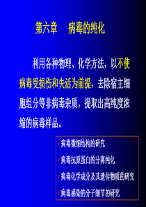 华中农业大学病毒学实验技术第六章病毒纯化(XXXX)