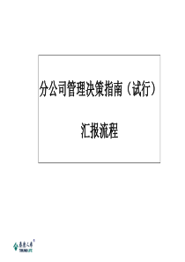 分公司决策汇报流程