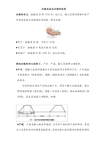 分娩及决定分娩的因素